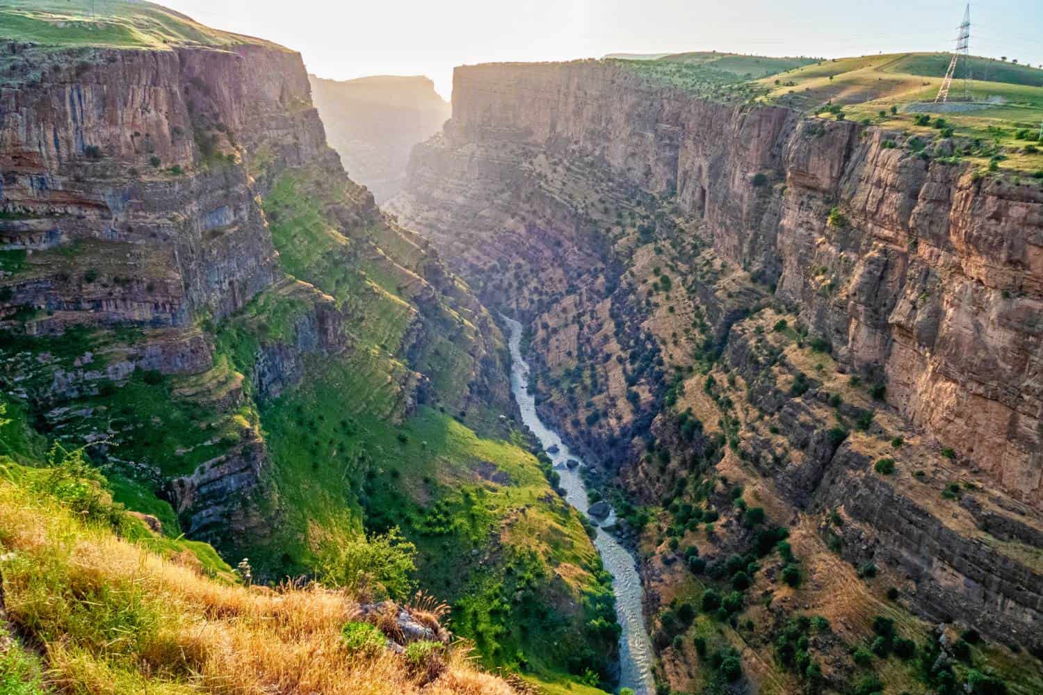 Soran